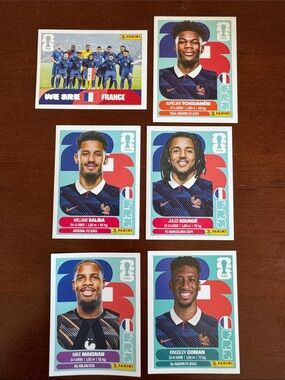 Panini FIFA France World Cup Sticker Lot
